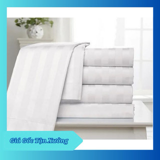 Vỏ chăn Cotton trắng Sọc T258 cho khách sạn và gia đình
