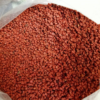 1Kg Hạt điều màu (hạt cà ri) nguyên chất - Hạt điều đỏ tạo màu món ăn - SỈ GIÁ TỐT