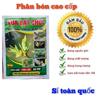 Phân bón vua bật chồi 50g. kích chồi, bật lộc, mập cọng, lớn trái, bung đọt.