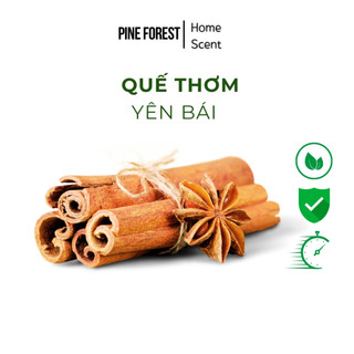 Thanh Quế Thơm Xông Phòng & Ngâm Trà Đã Cạo Sạch Vỏ