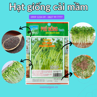 Hạt giống cải mầm phú nông, gói 30g, hạt chắc khỏe nẩy mầm cao, thu hoạch sau 7 ngày (Vườn Sài Gòn)