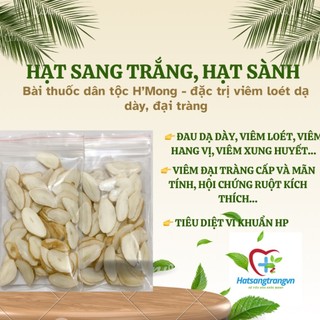 2 gói hạt Sang trắng,hạt sành - Khắc tinh của đau dạ dày, đại tràng, HP