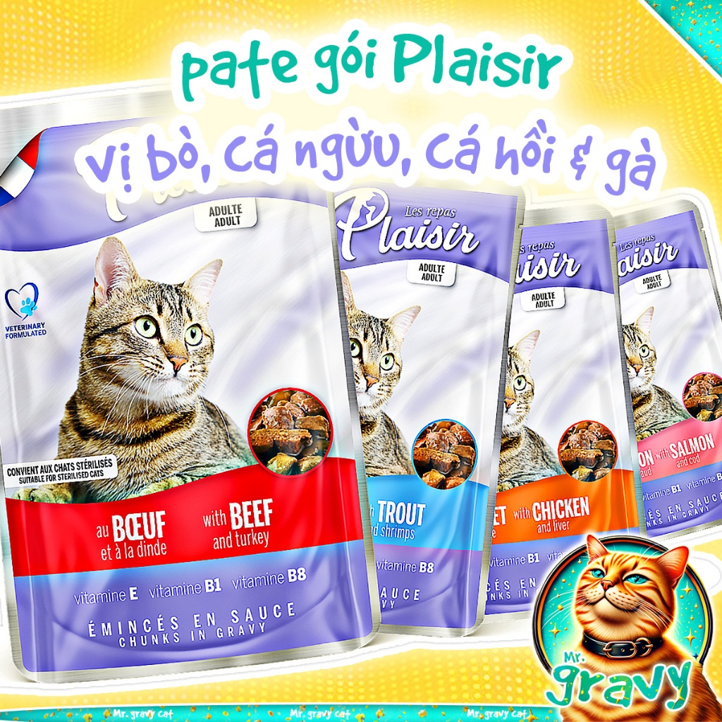 PATE PLAISIR LES REPAS Made In France Cho Mèo Dạng Gói Thịt Trong Sốt Tăng Cường Miễn Dịch Cùng Omega3 Bổ Gan Mr Gravy