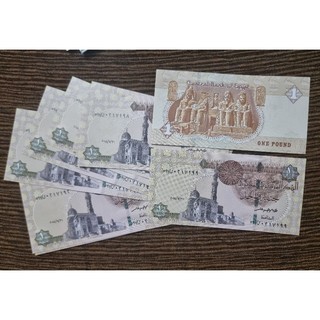 1 pound ai cập