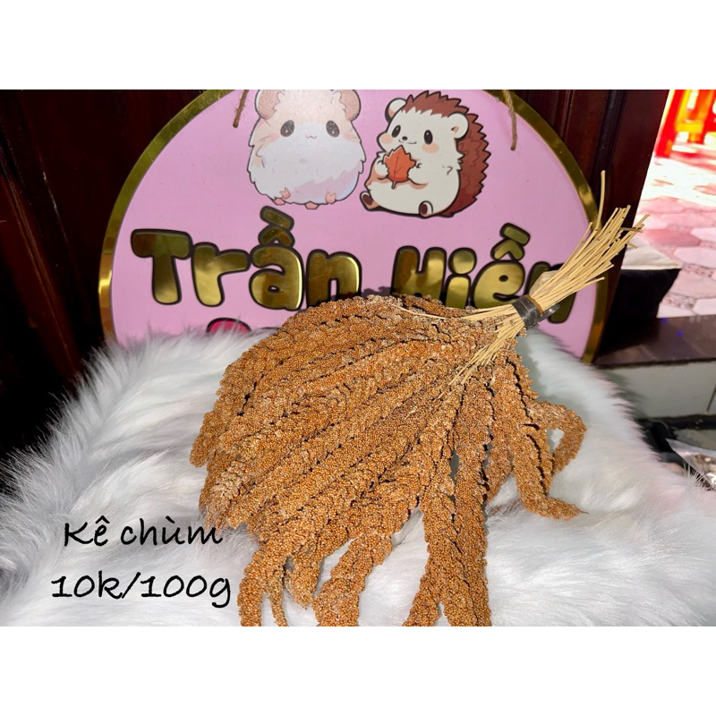 Kê chùm cho hamster, chim, vẹt,…(100g)