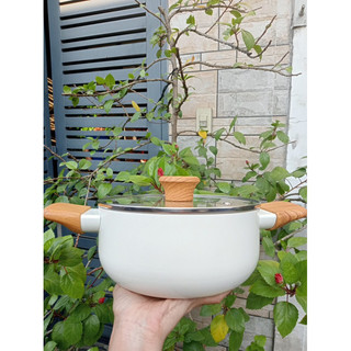Nồi men gốm Green cook 20cm