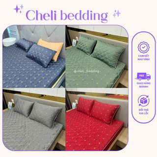 Bộ ga gối phi lụa trần bông 3 món đủ kích thước chuẩn loại 1 - set ga gối phi lụa trần bông bo chun bọc đệm - ga bo chun