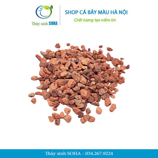 Sạn gốm ceramic trải nền bể cá thủy sinh