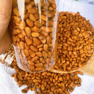 500G Hạt thông chuẩn Mỹ loại 1