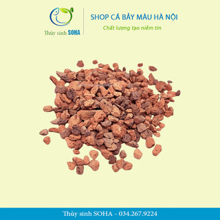 Sạn gốm Ceramic trải lót nền bể cá thủy sinh