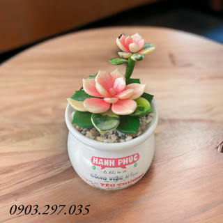 Sen đá thủ công bằng đất sét tự khô size 6-7cm