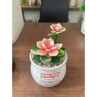 Sen đá thủ công bằng đất sét tự khô size 6-7cm