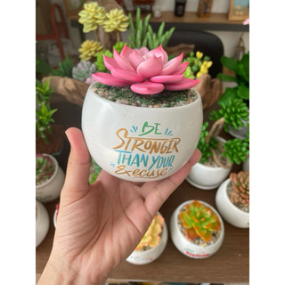 Sen đá bằng đất sét chậu sứ kích thước 6-7cm
