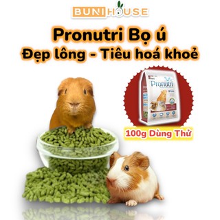 Thức ăn cho Bọ ú 100g - Cỏ nén Pronutri Bọ ú giúp đẹp lông tiêu hoá khoẻ giảm mùi hôi Dr Cavia DR328 Bunihouse