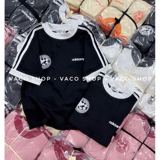 [ CHUBBY BIGSIZE  ] ÁO BABYTEE BIGSIZE