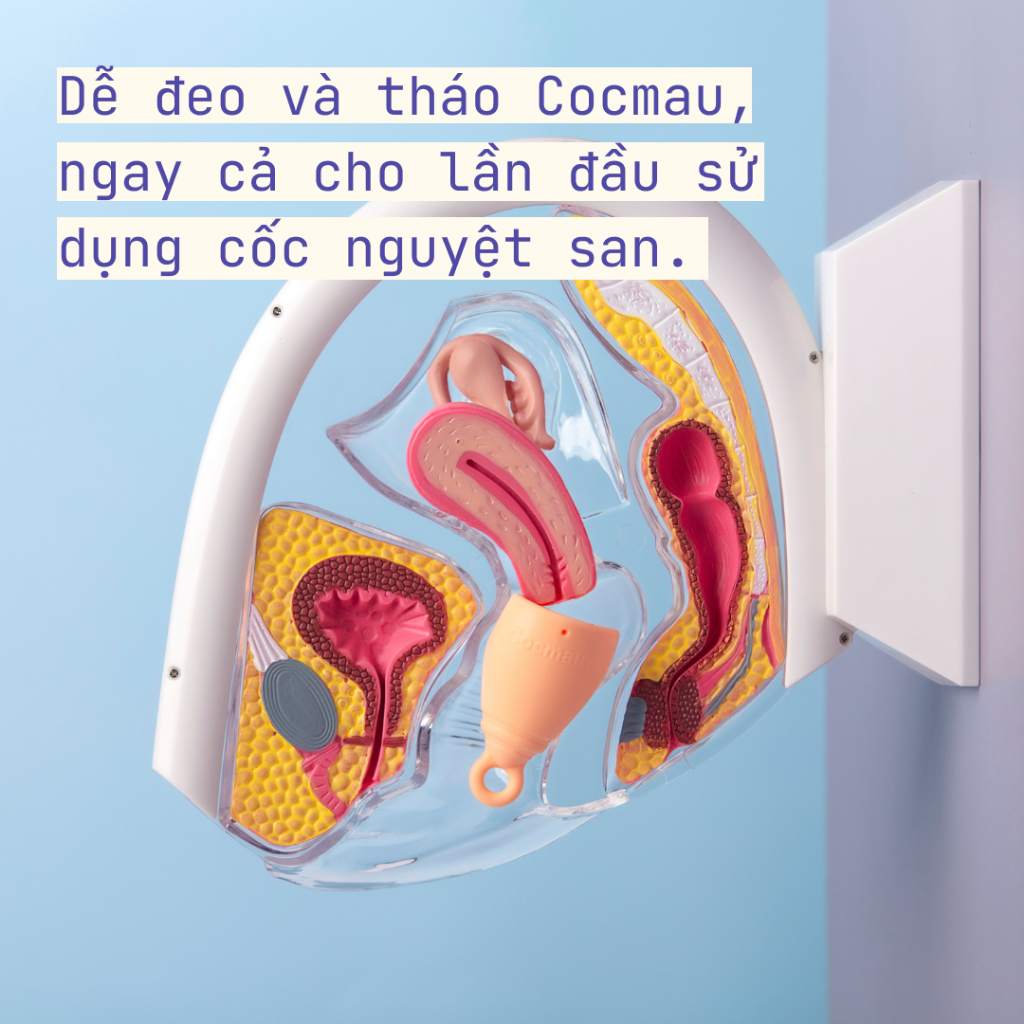 Cốc nguyệt san cải tiến Cocmau - Xanh Bạc hà - Cuống tròn dễ tháo - Thiết kế vành ẩn nhỏ gọn - 100% silicone y tế