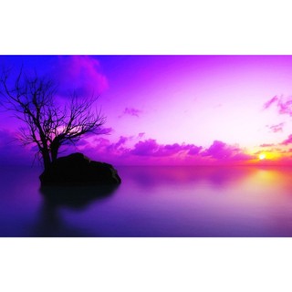Bình phun sơn ATM Spray màu Tím (Purple) A240