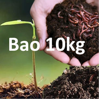 Phân hữu cơ trùn quế, bổ sung chất dinh dưỡng cho cây