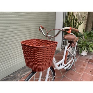 Xe Đạp Mini RUBY AMIDA • Best Seller