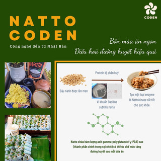 NATTO CODEN _ Đậu tương lên men Nhật Bản (dạng viên và bột)