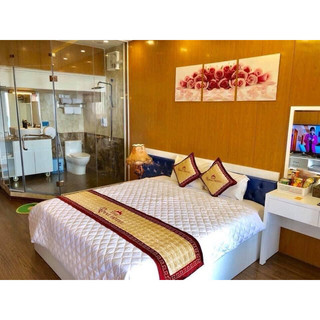 [SALE SÔC] Chăn chần bông Trắng Trơn (T259)