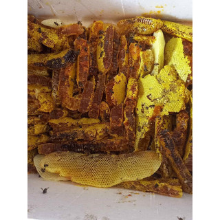 500gr Mật ong khoái rừng mu cang chai nguyên sáp 100% tự nhiên bắt tại rừng Mật ong