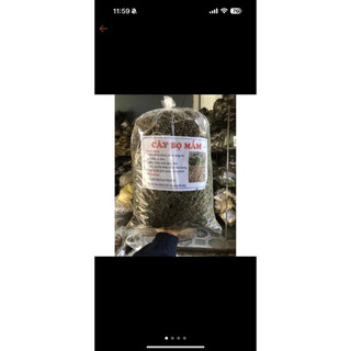 Cây dòi tím 1kg hàng chuẩn thơm sạch