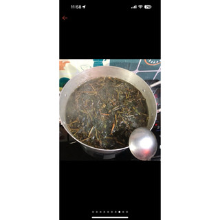 Cây dòi tím ( cây bọ mắm tím  khô) 1kg hàng chuẩn thơm sạch
