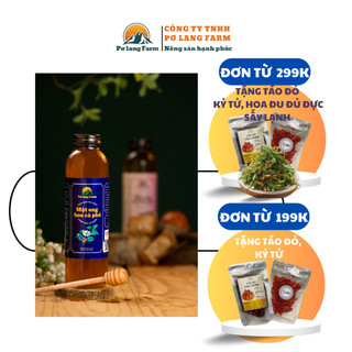 500ml Mật ong hoa cà phê Pơ lang Farm - coffee blossom honey bee - organic honey bee