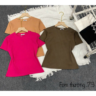 Áo thun trơn form vừa - al13