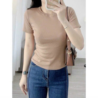 Áo thun trơn form vừa - AL13