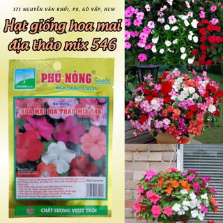 Hạt giống hoa mai địa thảo cherry Phú Nông (Vườn Sài Gòn - Vuon Sai Gon) hạt giống chắc khỏe, tỉ lệ nẩy mầm cao