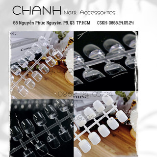 Móng mẫu vỉ tập vẽ nail, móng vuông thanh tập sơn 240 móng học làm nail