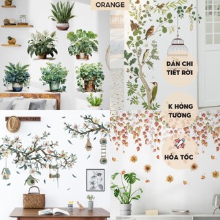 Decal dán tường  kính Orange decor phòng ngủ, quán cafe, làm việc hình cây xanh Hàn Quốc chống thấm nước