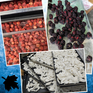 Maple Granola 150g 🍓 Strawberry 🥥 Macapuno ∙ Raspberry