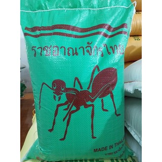 Gạo Thái kiến bao 10kg- Gạo rất ngon cho cơm dẻo mềm, đậm thơm