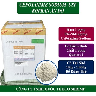 Cefotaxime ấn độ - kháng sinh dùng cho tôm, cá, động vật