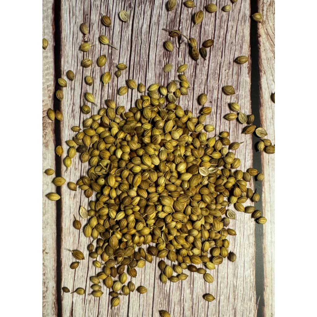 Hạt Ngò, Hạt Mùi Thơm (Coriander Seed)