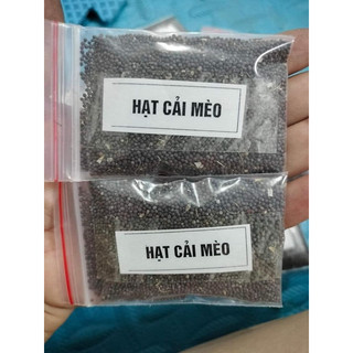 [ Giá Sỉ ] HẠT GIỐNG RAU CẢI MÈO ( 1kg)