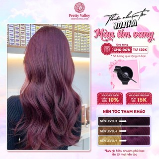 Thuốc nhuộm tóc màu TÍM VANG Molokai siêu dưỡng, nhuộm tóc an toàn tại nhà lên màu chuẩn  - Pretty Valley Hair