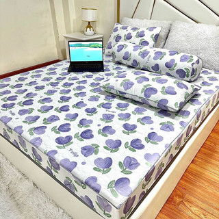 Bộ Ga Gối Trần Bông Cotton mịn  đũi nhẹ nhàng nữ tính tông màu mát mẻ