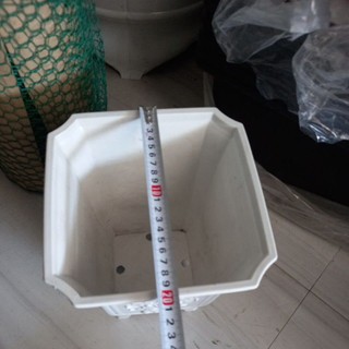 Chậu Vuông Tứ Quý 4