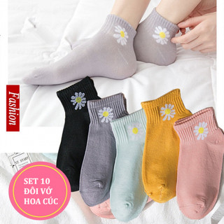 Set 10 đôi tất ren hình hoa cúc _200049