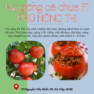 Hạt giống cà chua F1 Phú Nông hạt chắc khỏe tỉ lệ nẩy mầm cao