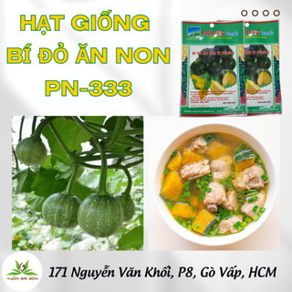 Hạt Giống bí đỏ ăn non Phú Nông 333, gói 10 hạt, hạt chắc khỏe tỉ lệ nẩy mầm cao (Vườn Sài Gòn)