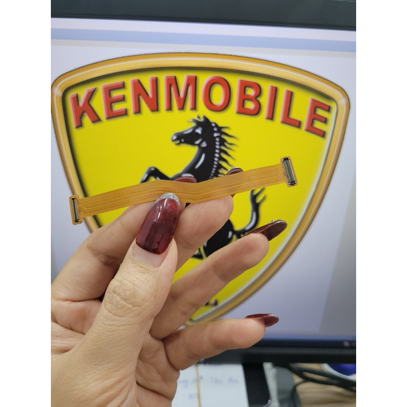 Cáp Nối Màn Hình Với Main SS A9 2018 / A920