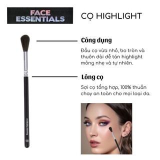 Cọ Highlight BH COSMETICS Rounded Highlighter Brush