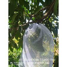 Túi bọc xoài. thanh long. na. cam vv. chất liệu lưới mùng kích thước 20x25cm