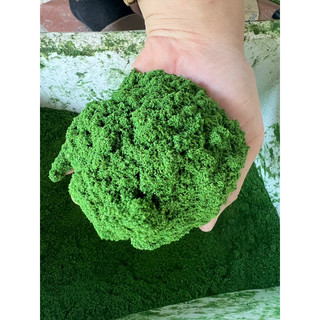 1kg Rêu dạng bột phủ gốc cây và làm cây bonsai cây cảnh