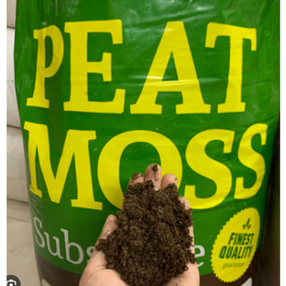 Peat moss / Peat Man / Rêu mục bao 70 lít